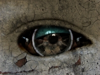 Eye