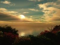Natur