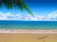 Meer